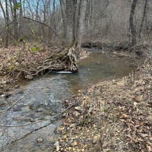 Prillaman Switch Creek Picture