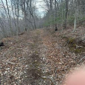 Prillaman Switch Logging Road