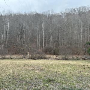 Prillaman Switch Photo