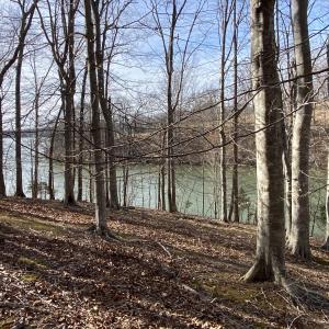 Build Your Dream Home