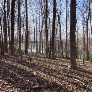 Beautiful Acreage
