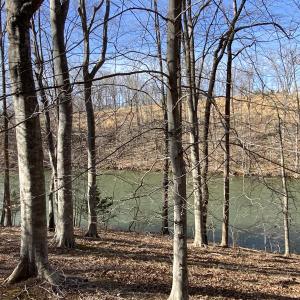 Easy Walk to Water