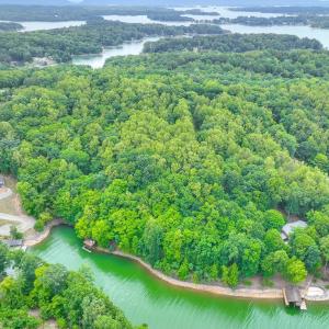 Wooded Acreage
