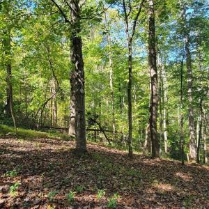 20211021001919024183000000-o