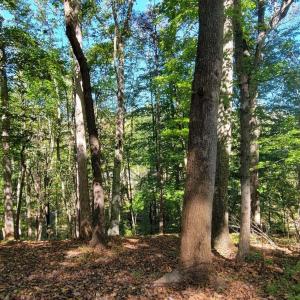 20211021001913076621000000-o