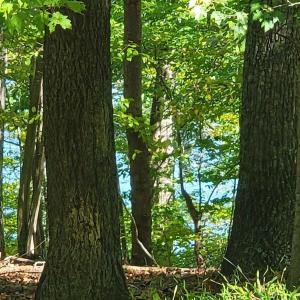 20211021001907914167000000-o