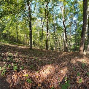 20211021001919285944000000-o