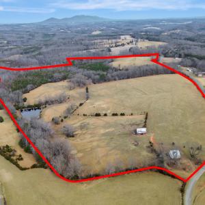 2359 Sago Rd - 98ac Farm