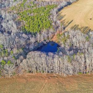2359 Sago Rd - 98ac Farm