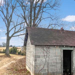 2359 Sago Rd - 98ac Farm
