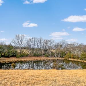2359 Sago Rd - 98ac Farm