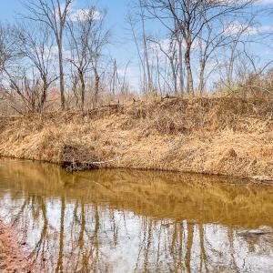 2359 Sago Rd - 98ac Farm