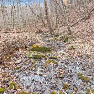 2359 Sago Rd - 98ac Farm