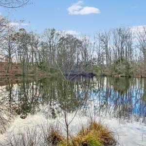 2359 Sago Rd - 98ac Farm