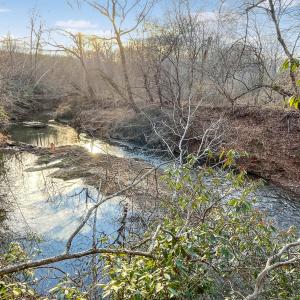 2359 Sago Rd - 98ac Farm