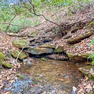 2359 Sago Rd - 98ac Farm