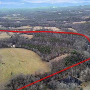 2359 Sago Rd - 98ac Farm