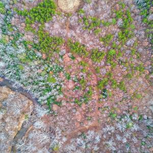 2359 Sago Rd - 98ac Farm