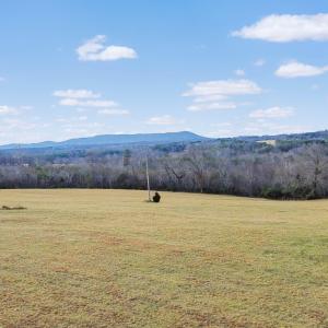 2359 Sago Rd - 98ac Farm