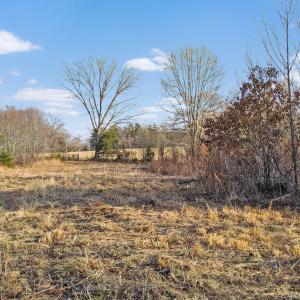 2359 Sago Rd - 98ac Farm
