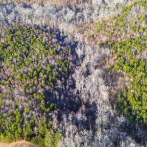 2359 Sago Rd - 98ac Farm