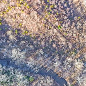 2359 Sago Rd - 98ac Farm