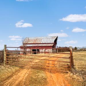 2359 Sago Rd - 98ac Farm