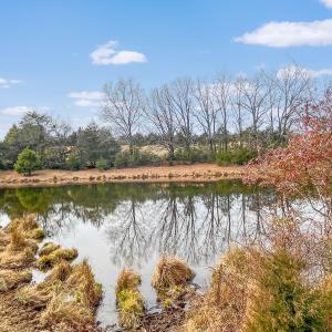 2359 Sago Rd - 98ac Farm