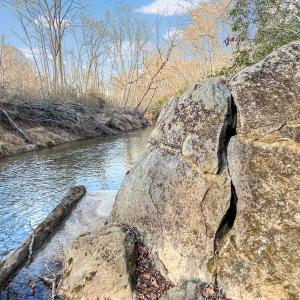 2359 Sago Rd - 98ac Farm