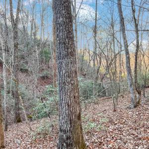 2359 Sago Rd - 98ac Farm
