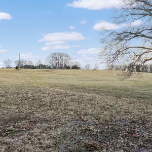 2359 Sago Rd - 98ac Farm