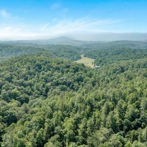 Wooded Acreage