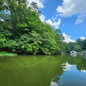 Lot 60 Lakewatch Circle