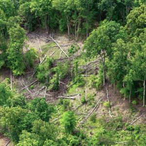 12-Lot 70 Washburn CT 12