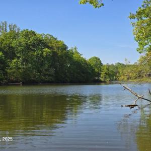 beautiful quiet cove area