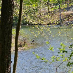 LOT 94 SERENE SETTING