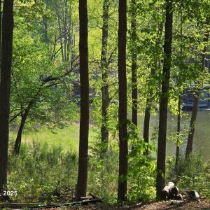 IMG_20250429_110319 (2)