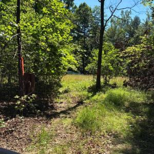 Photo #4 of KOVI RIDGE TRL, REVA, VA 10.3 acres