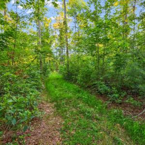 Photo #7 of KOVI RIDGE TRL, REVA, VA 10.3 acres