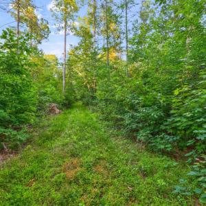 Photo #9 of KOVI RIDGE TRL, REVA, VA 10.3 acres