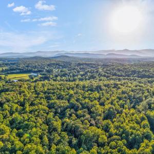 Photo #1 of KOVI RIDGE TRL, REVA, VA 10.3 acres