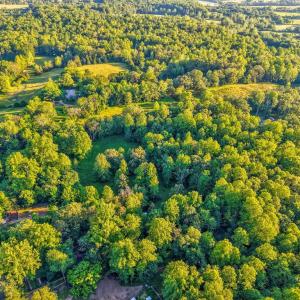Photo #10 of KOVI RIDGE TRL, REVA, VA 10.3 acres