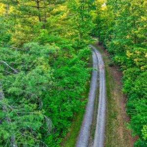 Photo #2 of KOVI RIDGE TRL, REVA, VA 10.3 acres