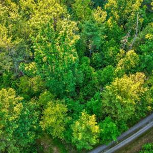 Photo #12 of KOVI RIDGE TRL, REVA, VA 10.3 acres