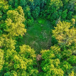 Photo #13 of KOVI RIDGE TRL, REVA, VA 10.3 acres