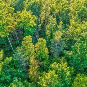 Photo #15 of KOVI RIDGE TRL, REVA, VA 10.3 acres