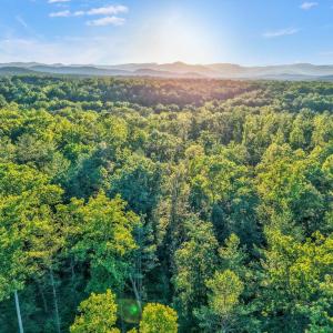 Photo #16 of KOVI RIDGE TRL, REVA, VA 10.3 acres