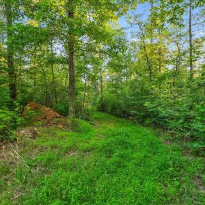 Photo #17 of KOVI RIDGE TRL, REVA, VA 10.3 acres