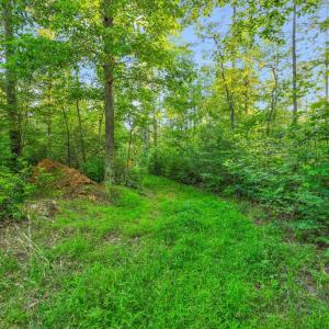 Photo #18 of KOVI RIDGE TRL, REVA, VA 10.3 acres