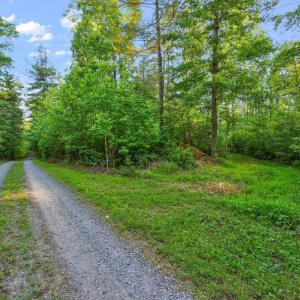 Photo #19 of KOVI RIDGE TRL, REVA, VA 10.3 acres